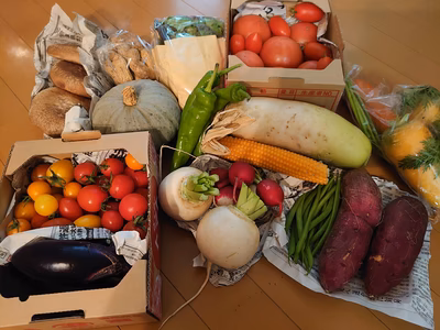 みんなの投稿の画像