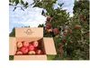 【福袋2024】サンふじ 約5kg（バラ箱詰め）＋ りんごチップスのオマケ付き