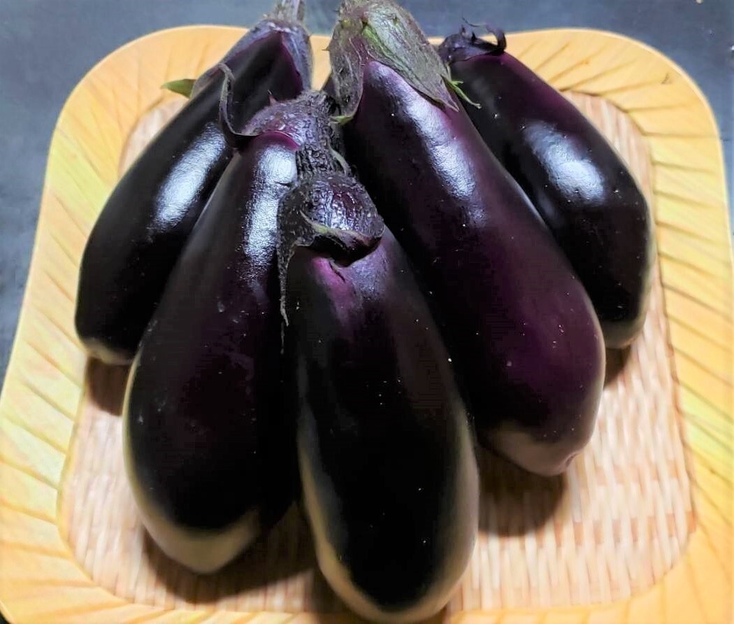 南国高知で育った高知なす♪ 1kg