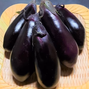 南国高知で育った高知なす♪