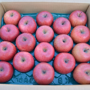 青森県黒石産　雪中貯蔵サンふじ中玉家庭用5kg