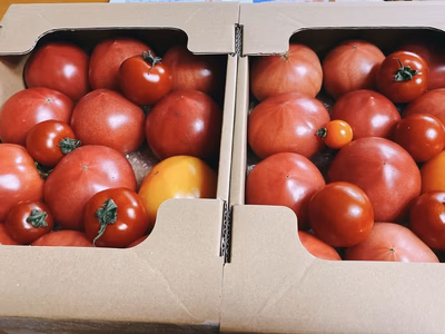 みんなの投稿の画像