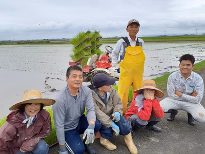 みんなの投稿の画像