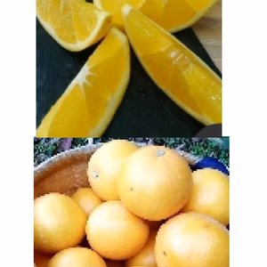 限定10【 激レア品】   有田産【甘い黄色】【 めろイエロー 】 