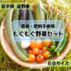 \\自然農 子どもも喜ぶ野菜//無農薬・無肥料 お試し新鮮野菜セット（60）