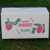 超大玉5Ｌオリジナル白箱2個入り鹿児島県産完熟マンゴー