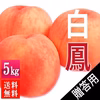 白鳳 5kg 贈答用