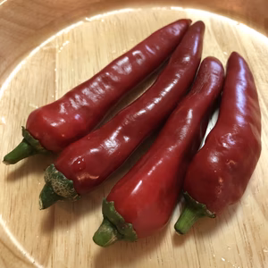 完熟！甘辛！韓国唐辛子！