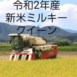 新米　　令和2年産ミルキークイーン玄米15キロ