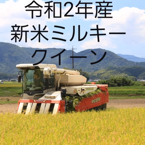 新米　　令和2年産ミルキークイーン玄米15キロ
