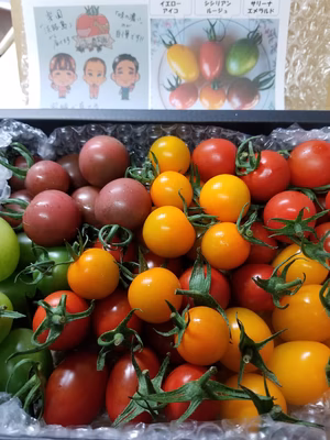 みんなの投稿の画像