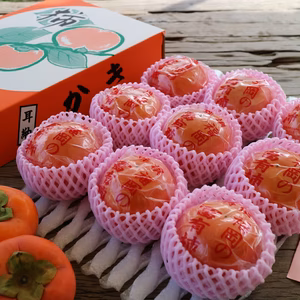 厳選 冷蔵柿（富有柿）９個入り２Lサイズ 　福岡県久留米市田主丸町産