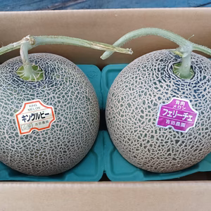 赤肉青肉メロン1.4kg～1.6kg 食べ頃セット