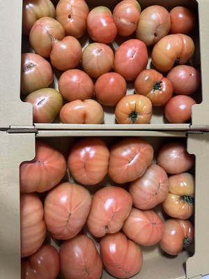 みんなの投稿の画像