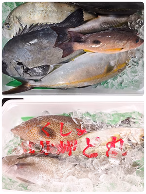 みんなの投稿の画像