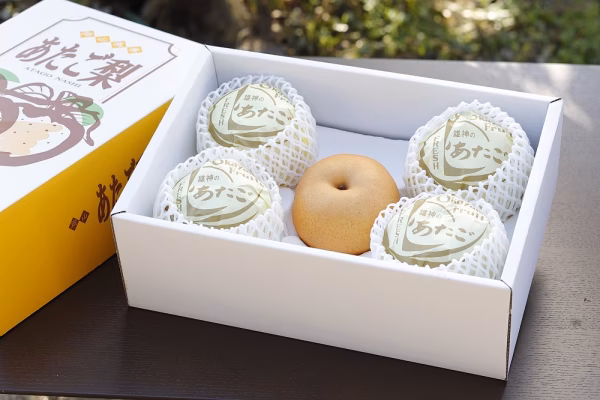 晴れ国育ち岡山県産　あたご梨　青秀4玉、５玉、６玉、７玉（４kg）訳あり