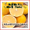 ⭐️希少⭐️樹熟 凛の香レモン 減農薬 使い道色々☆皮まで使えます☆