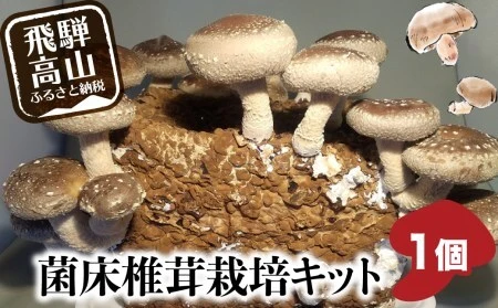 椎茸栽培キット