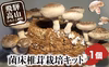 椎茸栽培キット