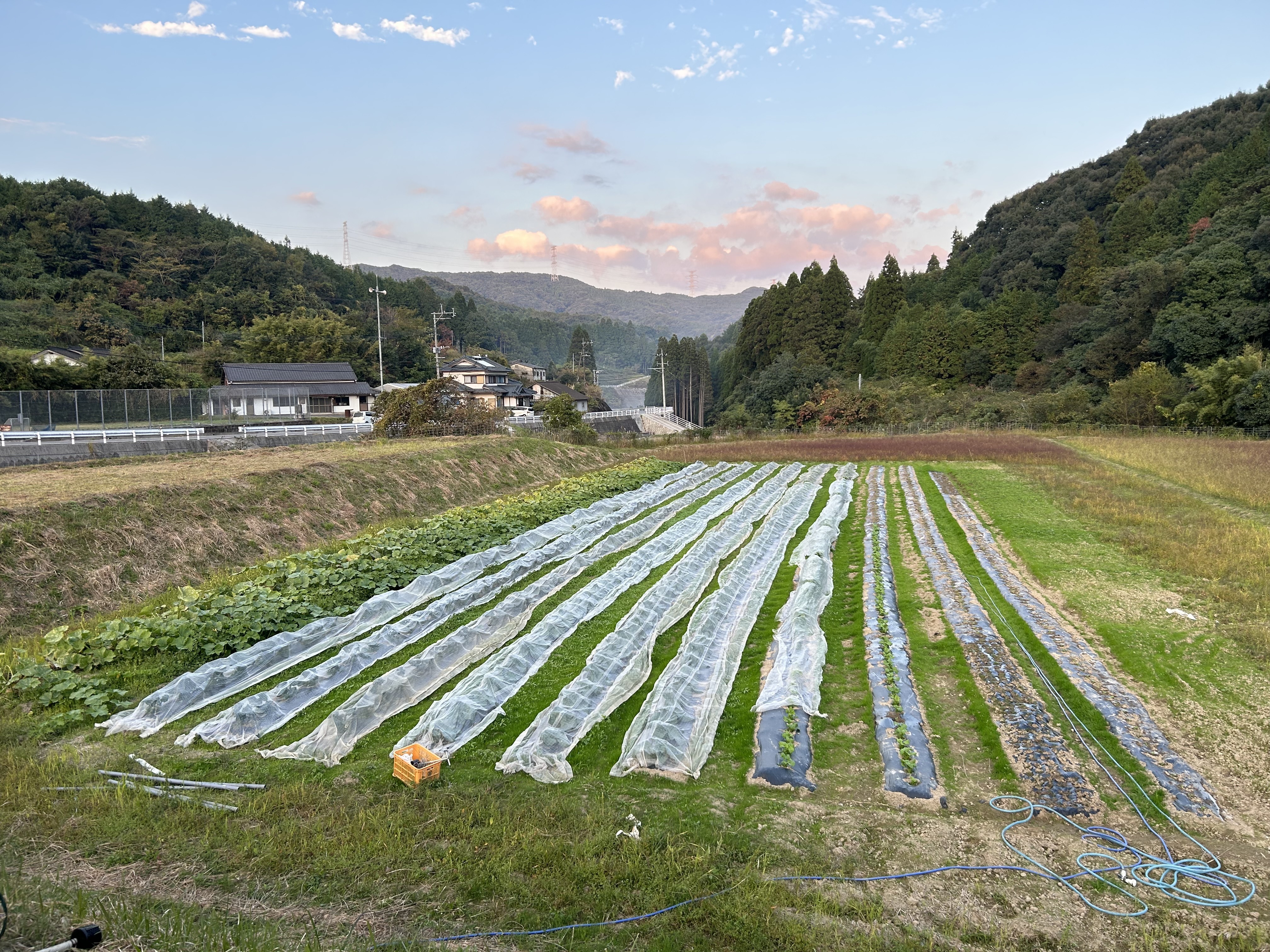 宮本農園 IMG_7451-840x473.jpg