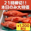 21時締切【本日大特価】大サイズ キンキ1kg詰め合わせ ¥1,200割引！！