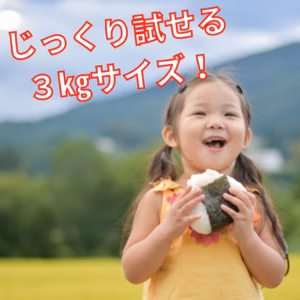 お米　白米　3kg　おためし　茨城県産　ミルキークイーン　しづくのしずく