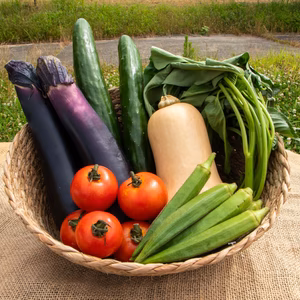 【夏野菜セット】100年続く農家のおすすめ！夏野菜セット| 約4.2㎏