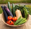 【夏野菜セット】100年続く農家のおすすめ！夏野菜セット| 約4.2㎏ 