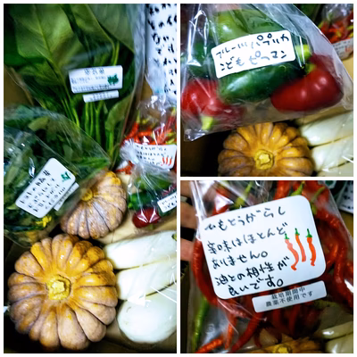 みんなの投稿の画像