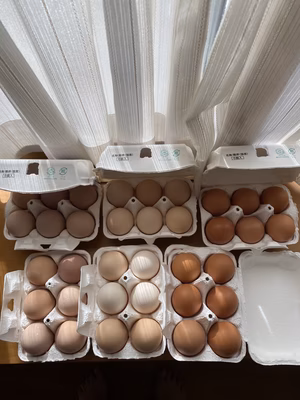 みんなの投稿の画像