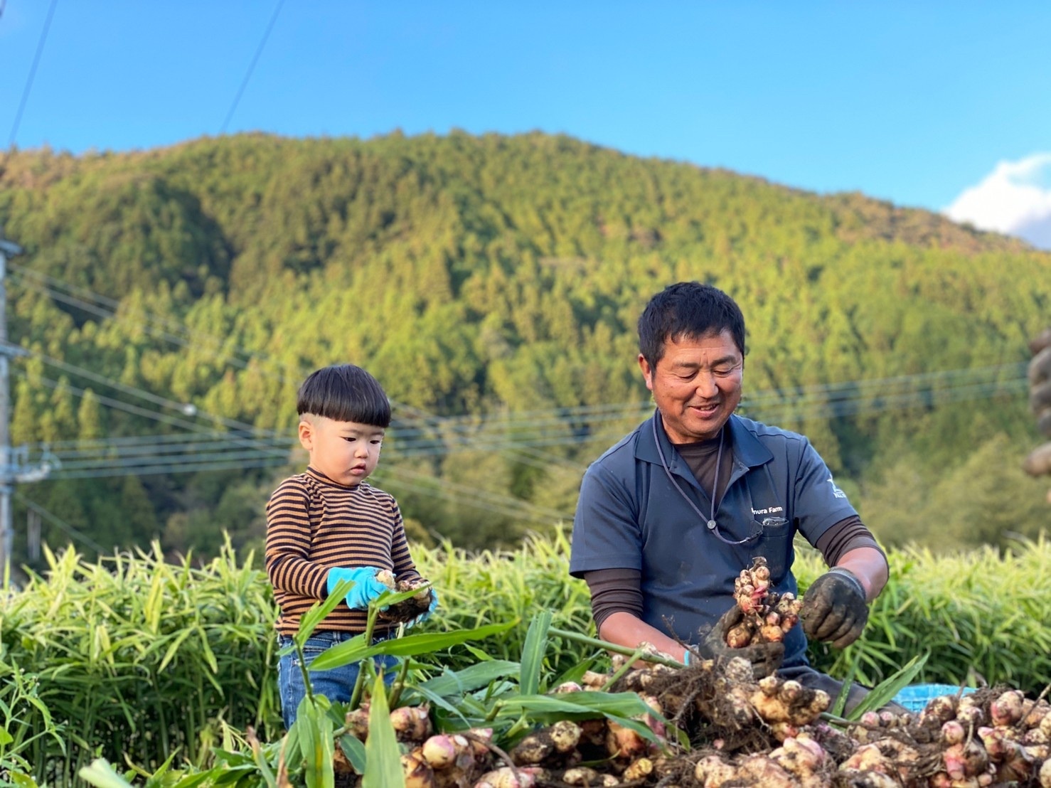 高知県長岡郡本山町｜カワムラファーム｜川村昇平さんの生産者プロフィール｜ポケットマルシェ｜産地直送で旬の食材が生産者(農家・漁師)から届く