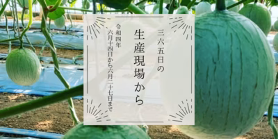 6月14〜27日の生産現場から、半夏生の39投稿！