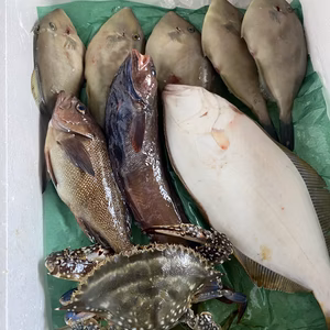 本日水揚げ❗️刺身、鍋用セット‼️