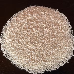 【自然栽培】ハッピーヒルもち米　精米950ｇ　令和7年・岐阜県産　クリックポスト