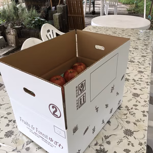 長野県産 さんつがるりんご