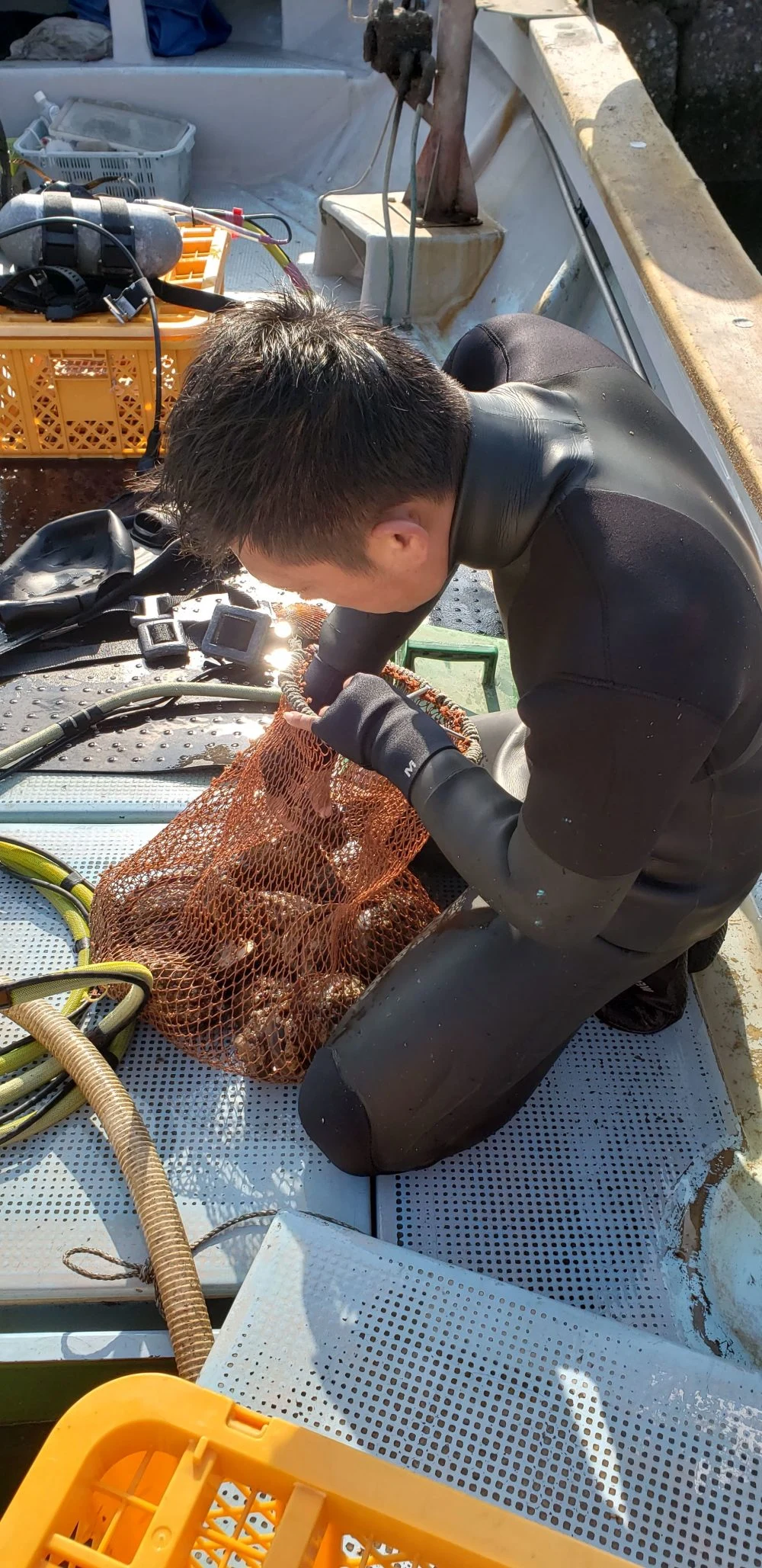 ★関門海峡産サザエ★コリコリ！噛めば噛むほど甘味がでます！