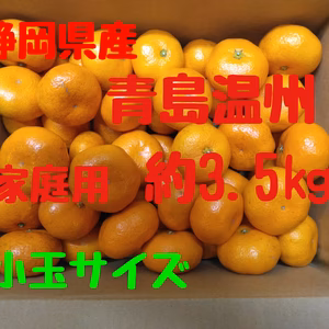 静岡県産　青島温州　家庭用　小玉サイズ　　約3.5㎏