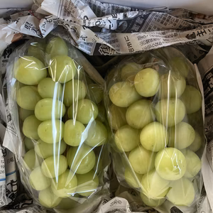 家庭用シャインマスカット1.2キロ以上（形不揃い小房など）ぶどう