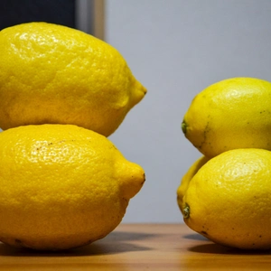 〔デカレモン〕加工に最適！200g以上の大きいレモンをお届け！（訳あり含む)