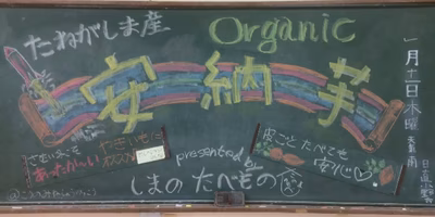 生産者さんからの手作りメッセージ。ステキな手描きPOPを集めました！～編集部のクリップ帳～