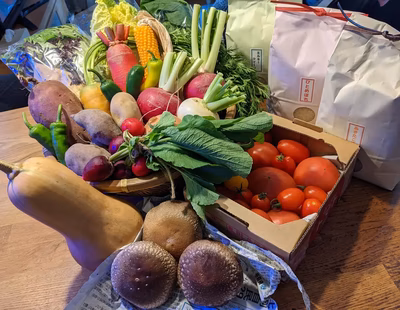 みんなの投稿の画像