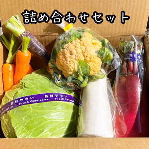 【おまかせ】野菜の詰め合わせセット❗️（農カード付き）