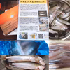 北海道十勝広尾産・船上直送・生の本ししゃも