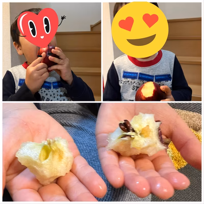 みんなの投稿の画像