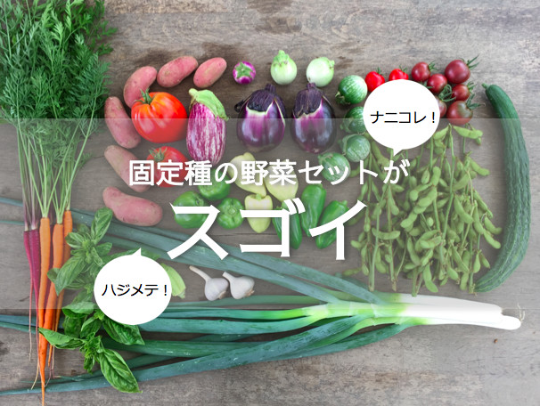 こんな野菜初めて見た 固定種の野菜セットのウワサを追ってみた 農家漁師から産地直送の通販 ポケットマルシェ