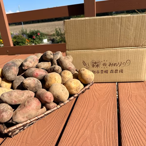 森のみのり じゃがいも食べ比べセット ５kg 10kg 有機JAS認証取得