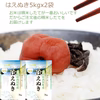 おいしいはえぬき5kgx2袋 特A米 1等米 無洗米 令和6年山形産 