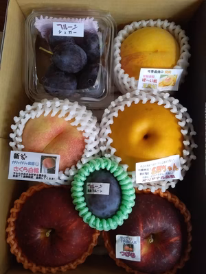 みんなの投稿の画像