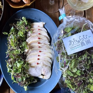 マイクログリーンmix(200g)  サラダセット