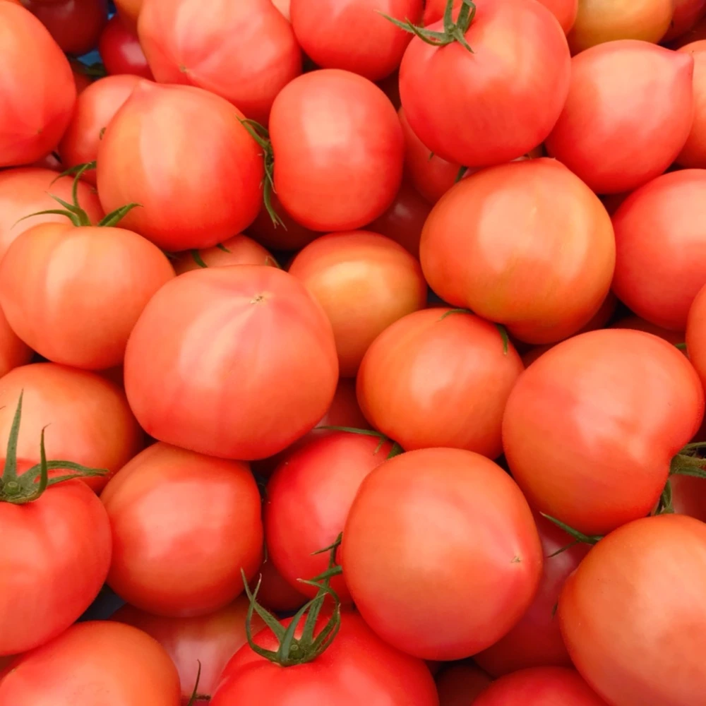 減農薬トマトジュース●トマト日和180ｍｌ×３本セット